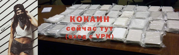 прущие крисы Бородино