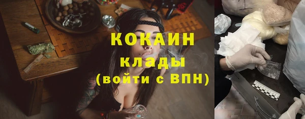 прущие крисы Бородино
