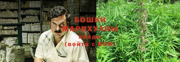 прущие крисы Бородино