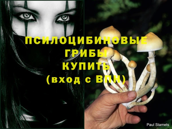 МДПВ Богородск