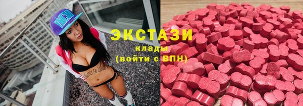 МДПВ Богородск