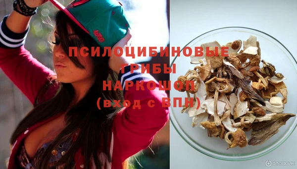 МДПВ Богородск