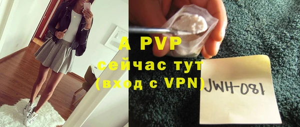 apvp Богданович