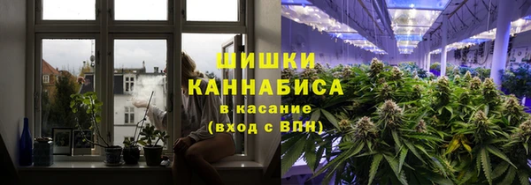 прущие крисы Бородино
