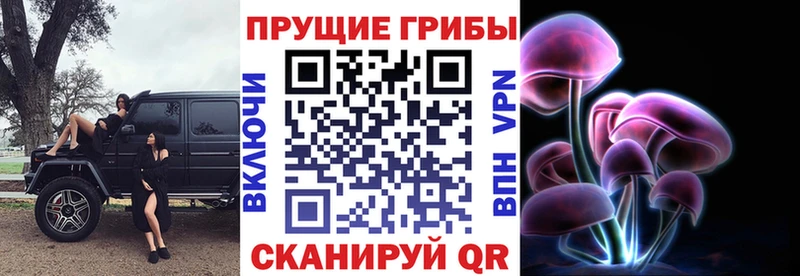 Псилоцибиновые грибы Magic Shrooms  Гатчина 