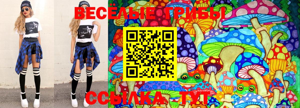 Псилоцибиновые грибы Psilocybe  Вход с VPN  Гатчина  даркнет сайт  Галлюциногенные грибы мухоморы 
