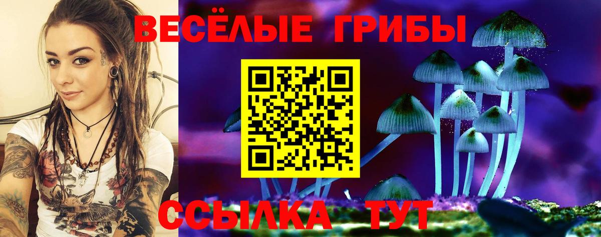 Галлюциногенные грибы Magic Shrooms Гатчина