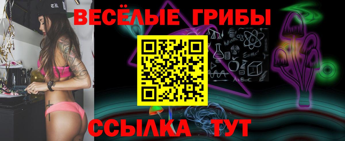 Героин Гатчина