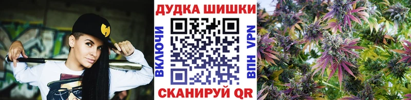 Марихуана план  blacksprut как войти  Гатчина 