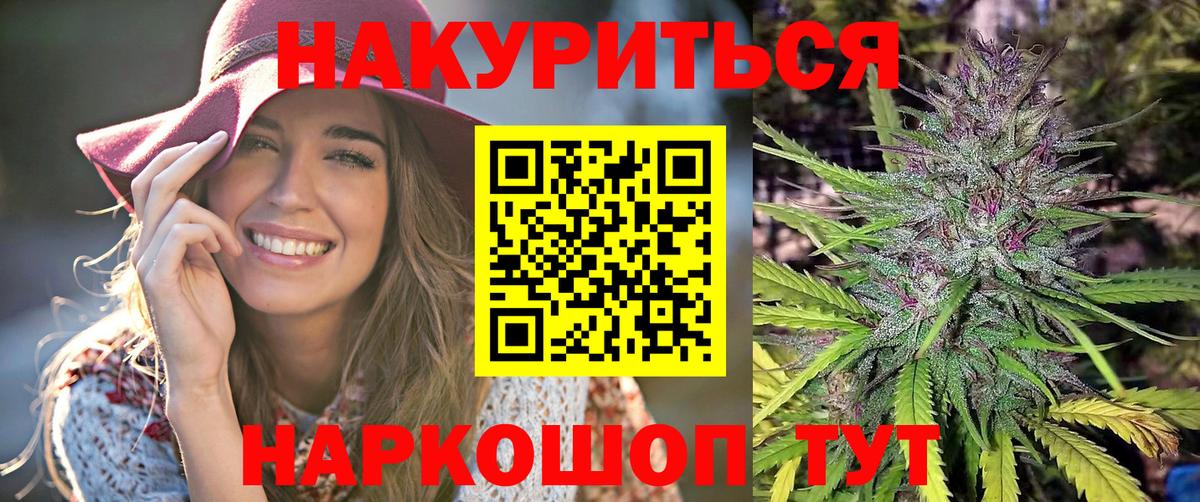 Конопля гибрид Гатчина
